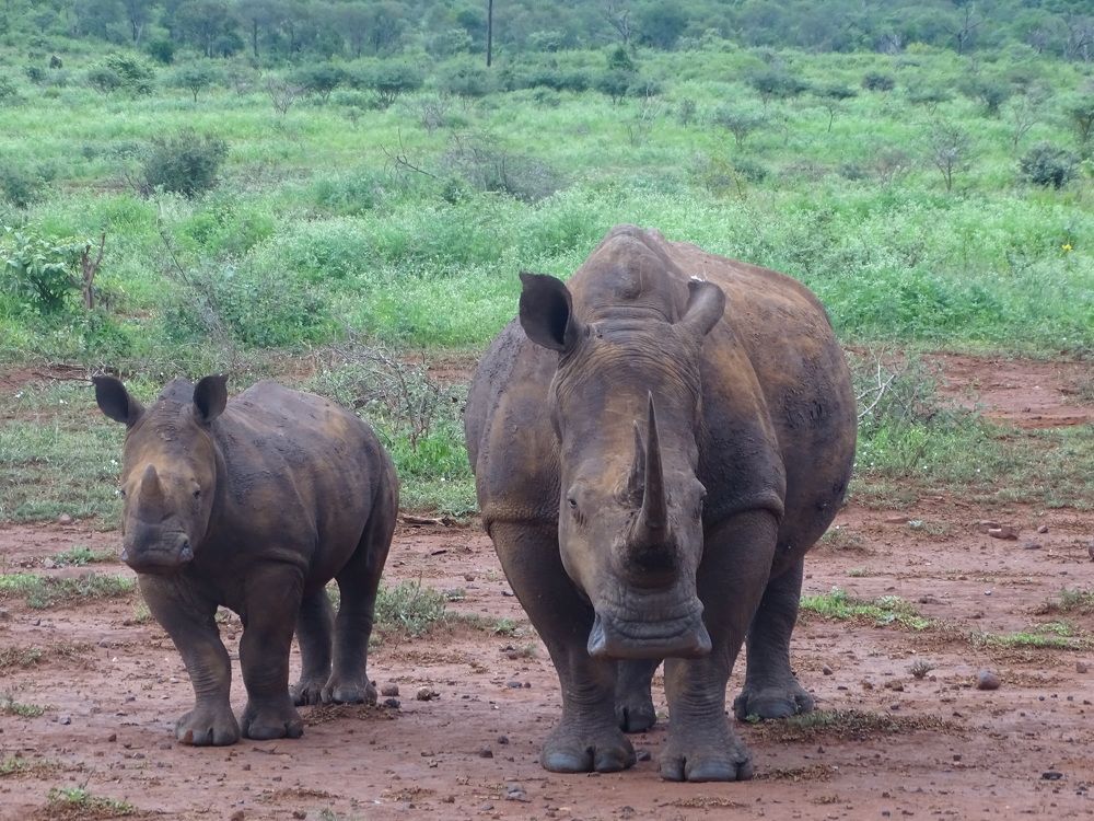 Photograph by ELVIRA LUNEVA