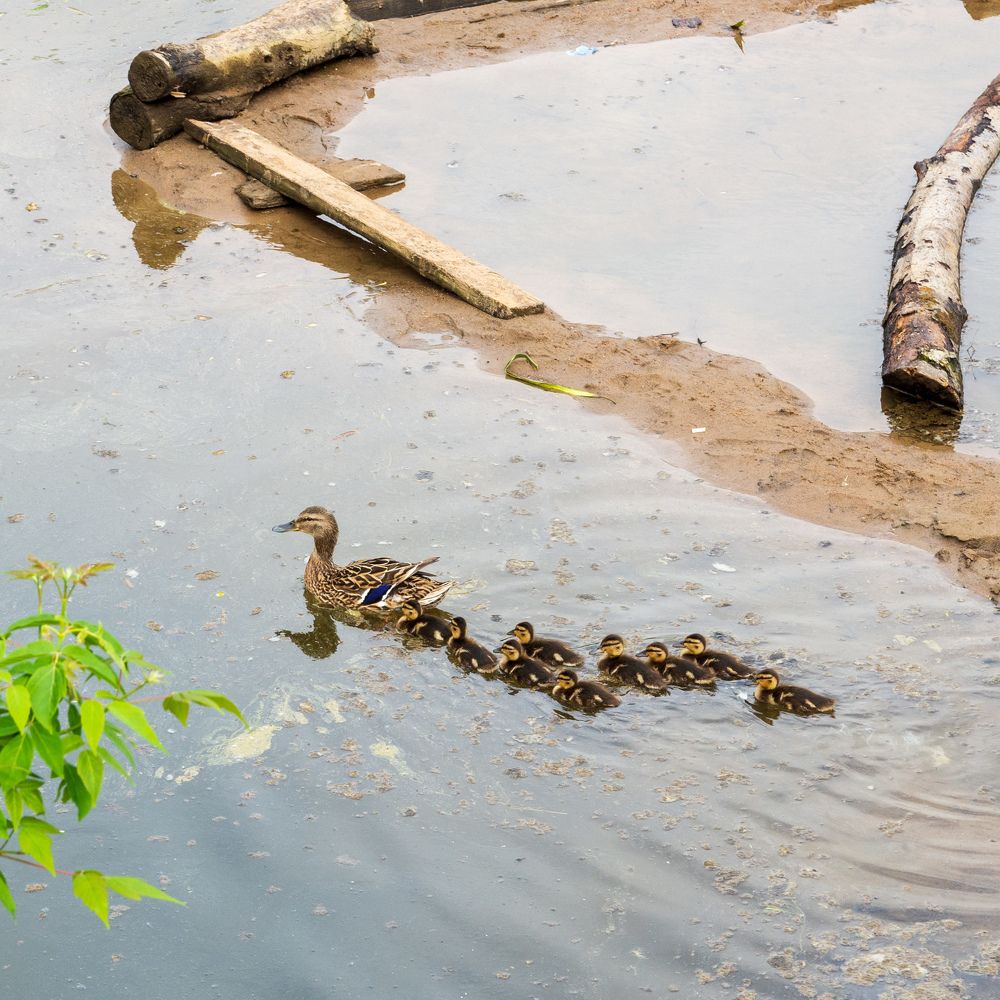 Photograph by Валерий Петухов