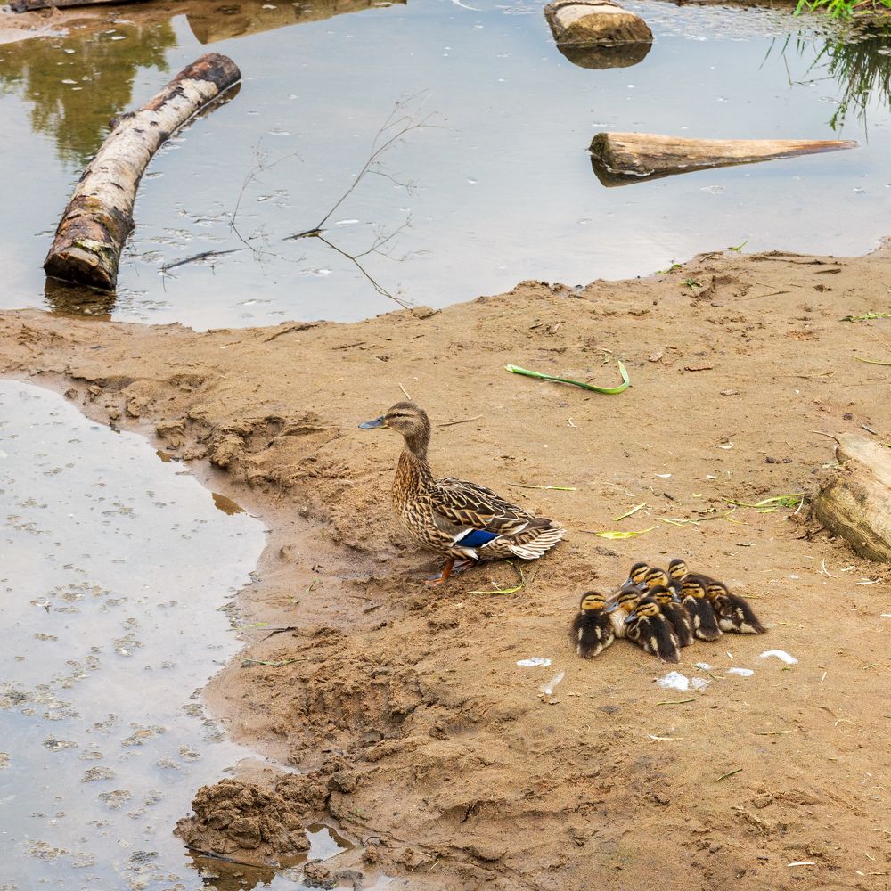Photograph by Валерий Петухов