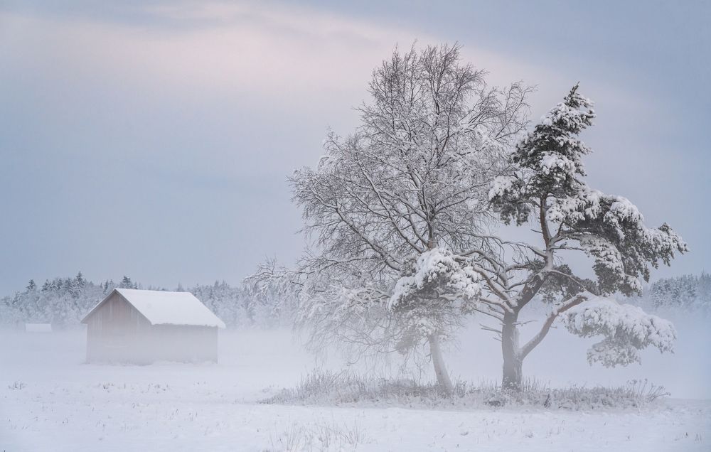 Фотография автора Katrin Lillenthal