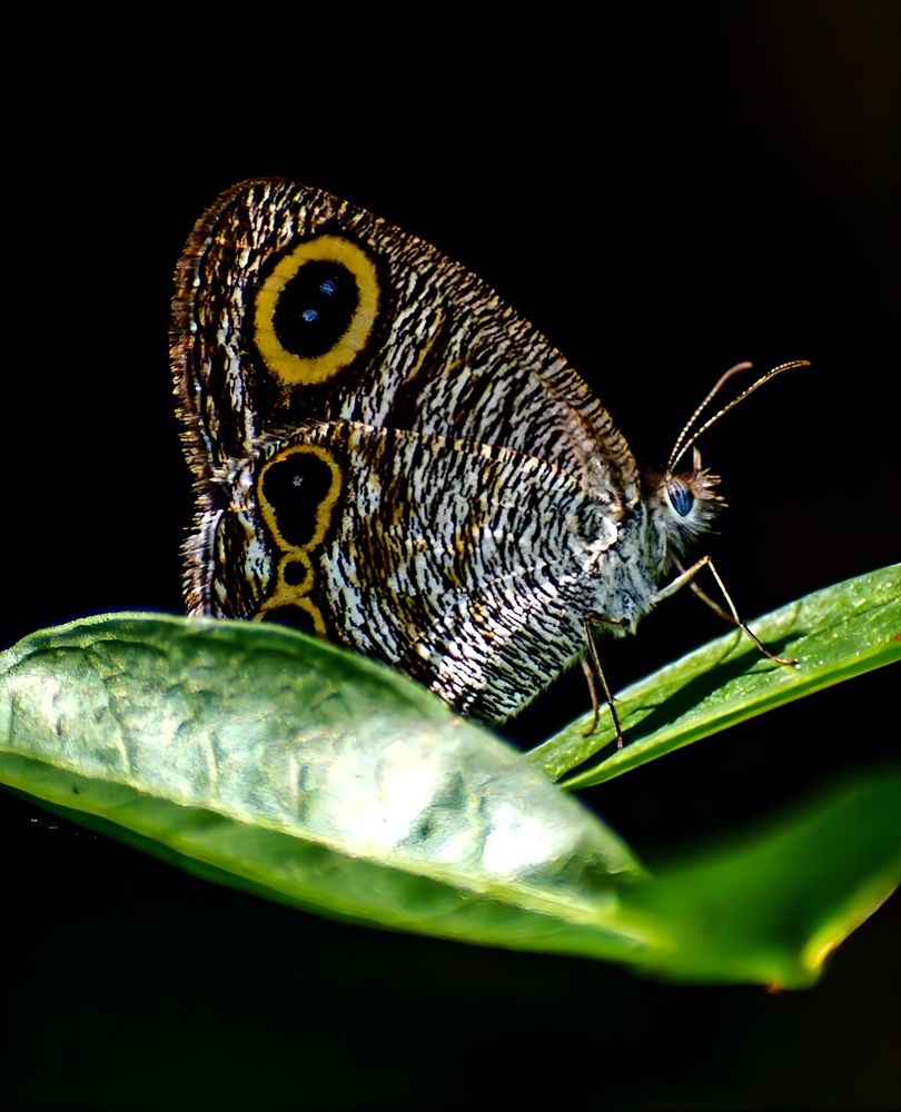 Photograph by Rehana Alpha