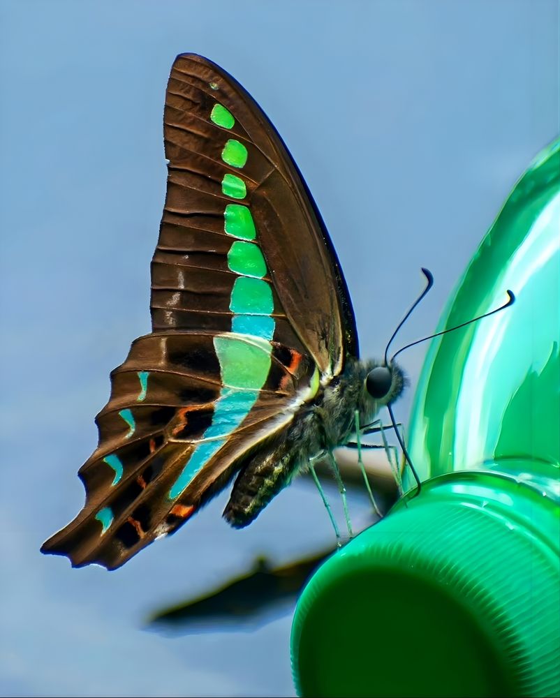 Photograph by Rehana Alpha