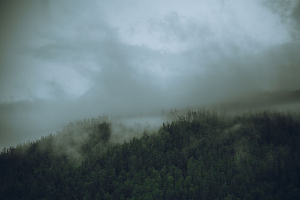 Photograph by Denis Koshkin