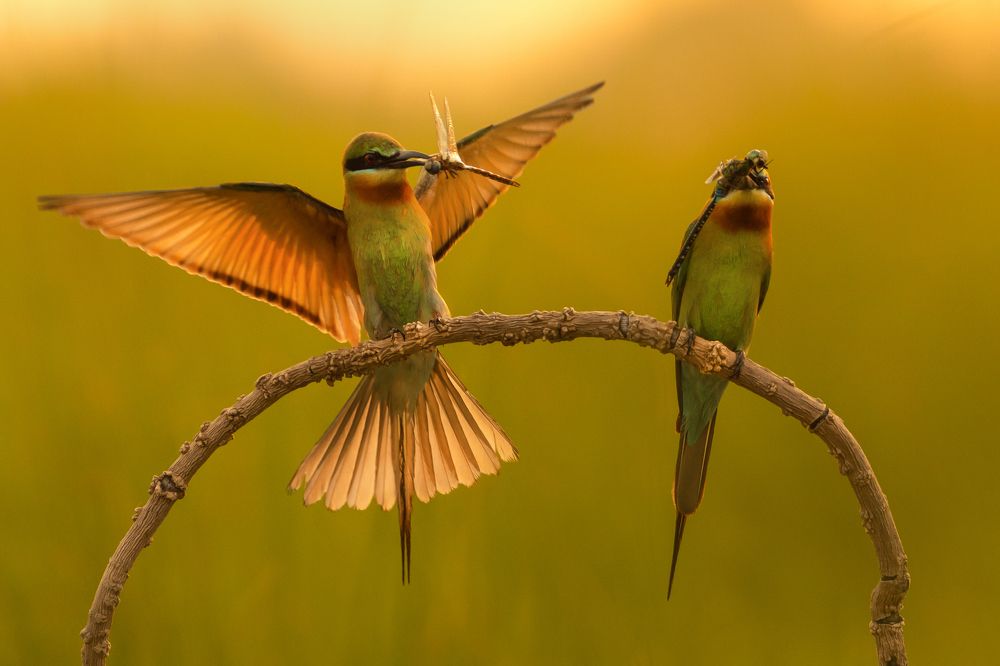 Photograph by Prince Paul Joy