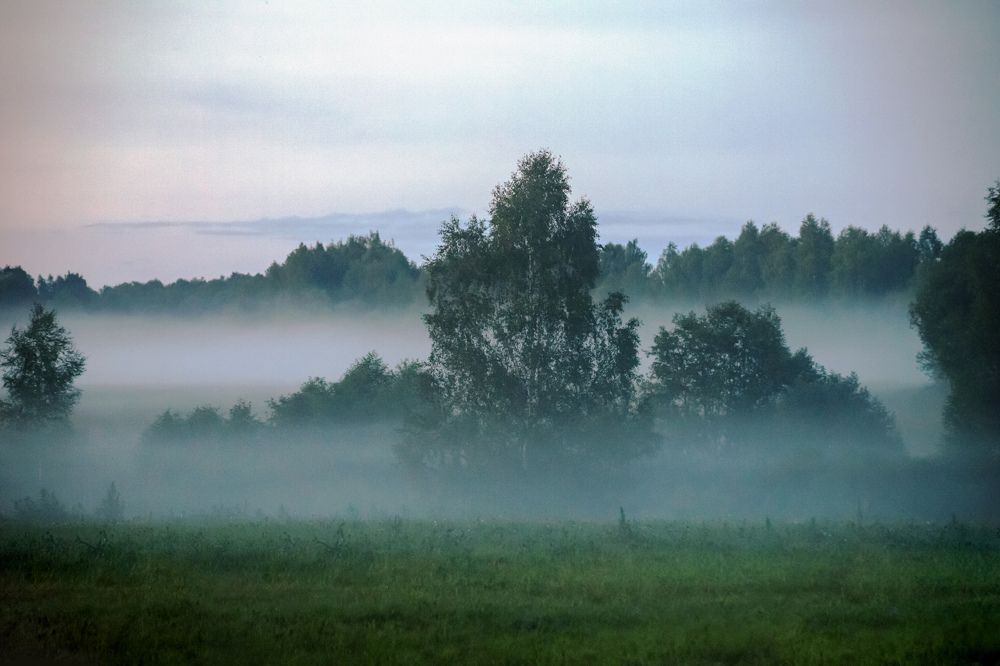 Ночной туман