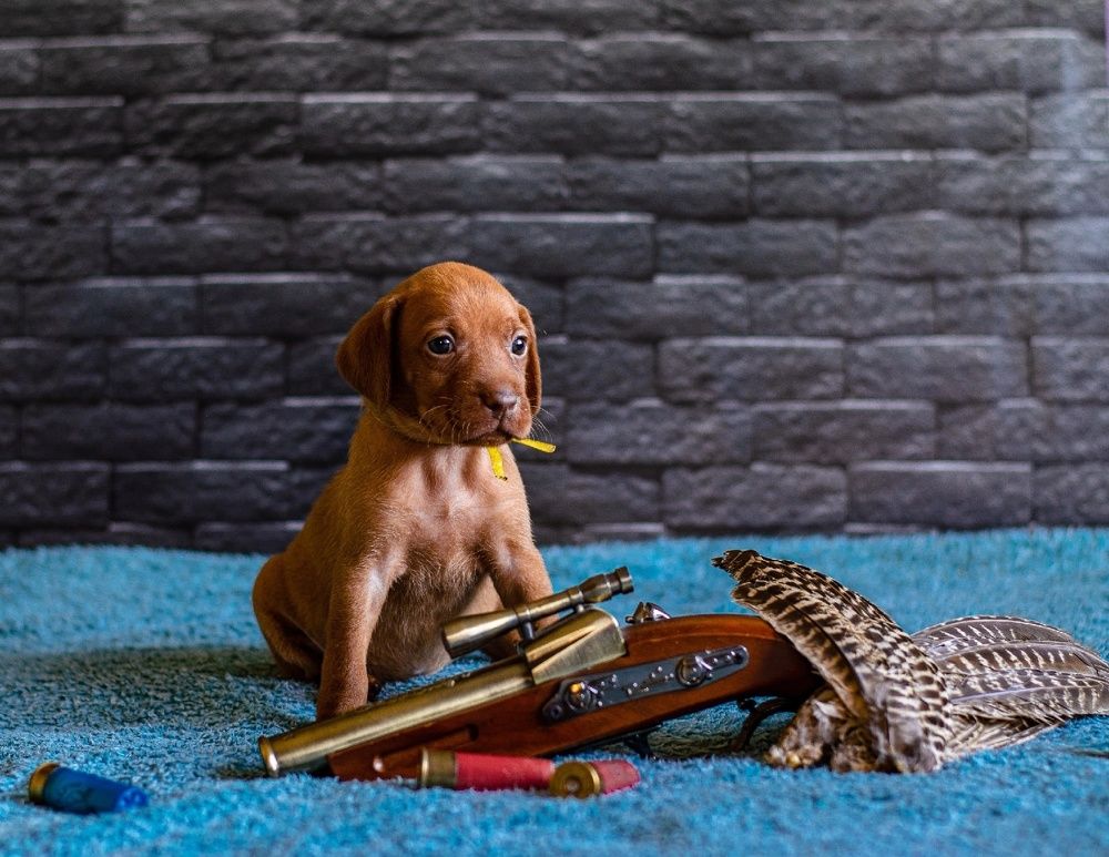 Фотография автора Елена Ефименко