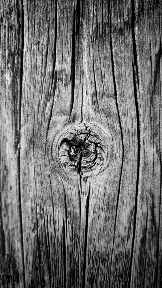 Photograph by Наталья Калюнова