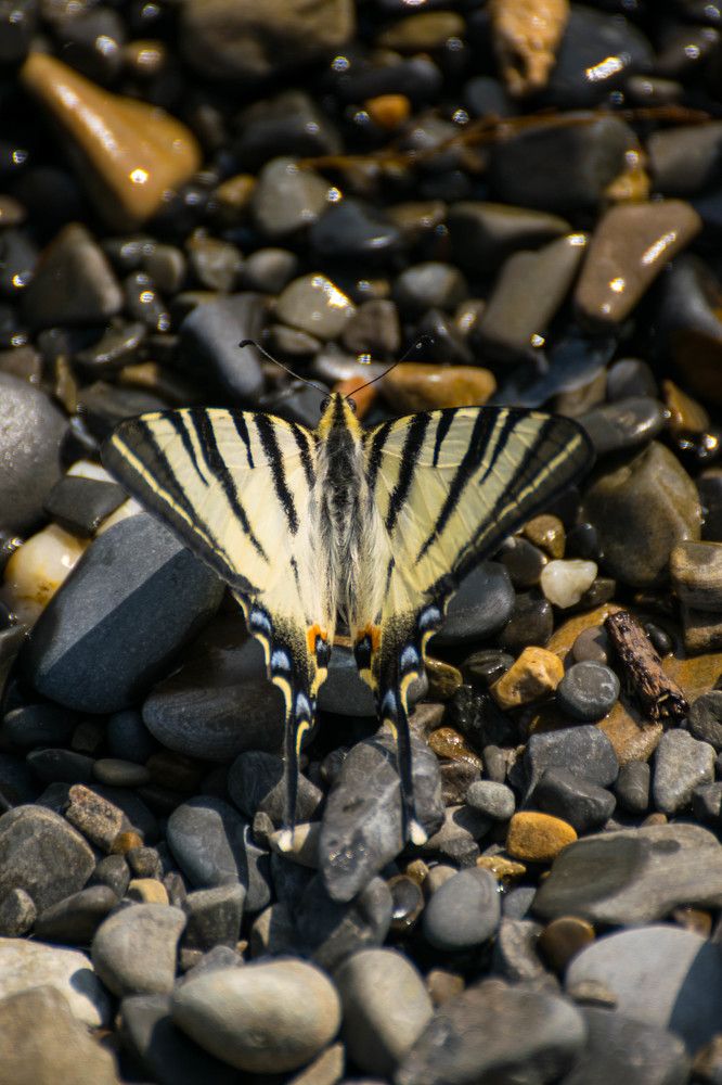 Photograph by Наталья Вялых