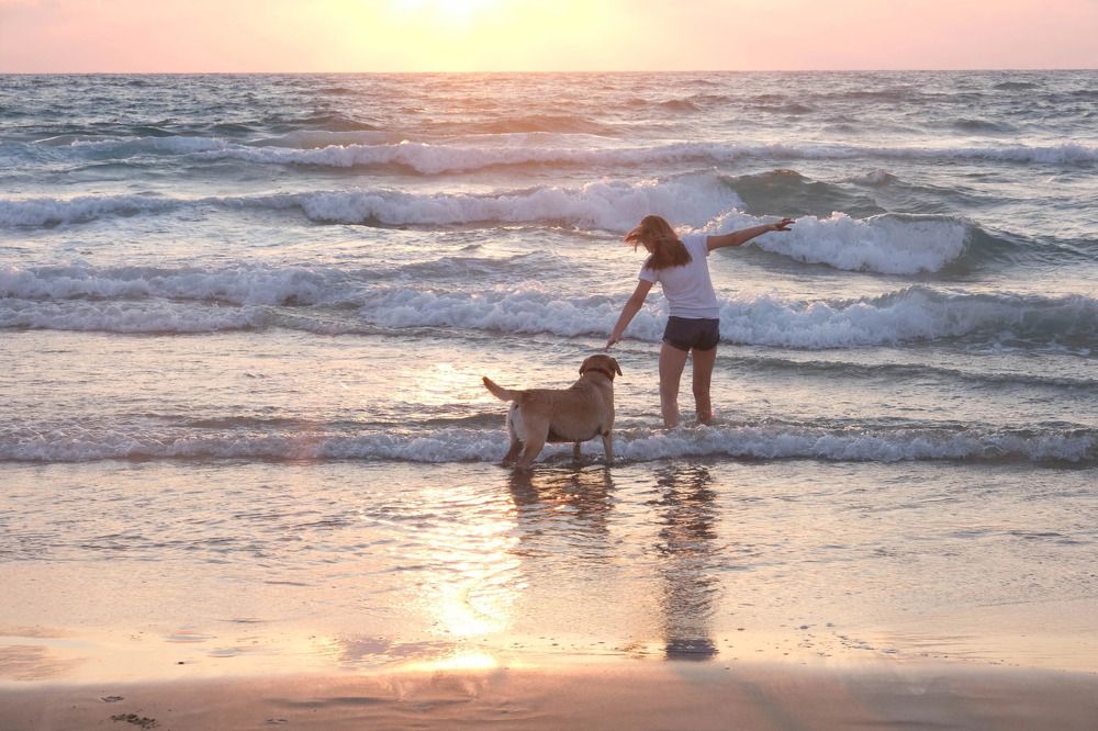 Фотография автора Ольга Забрянская