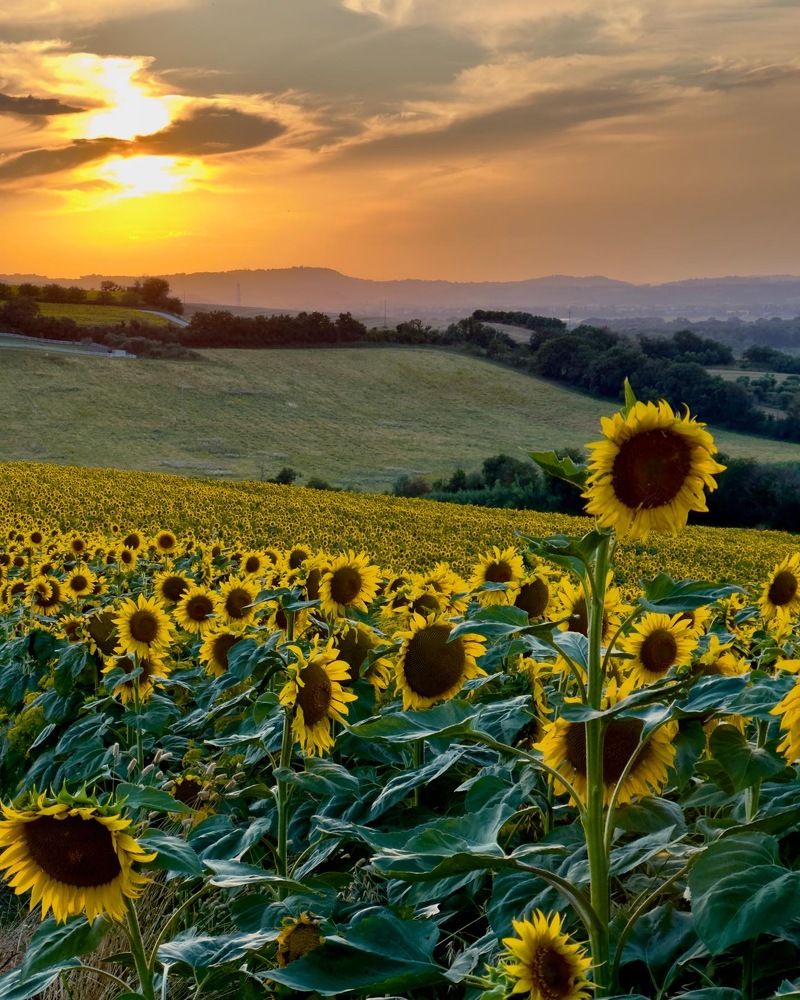 Photograph by Лариса Акинчиц