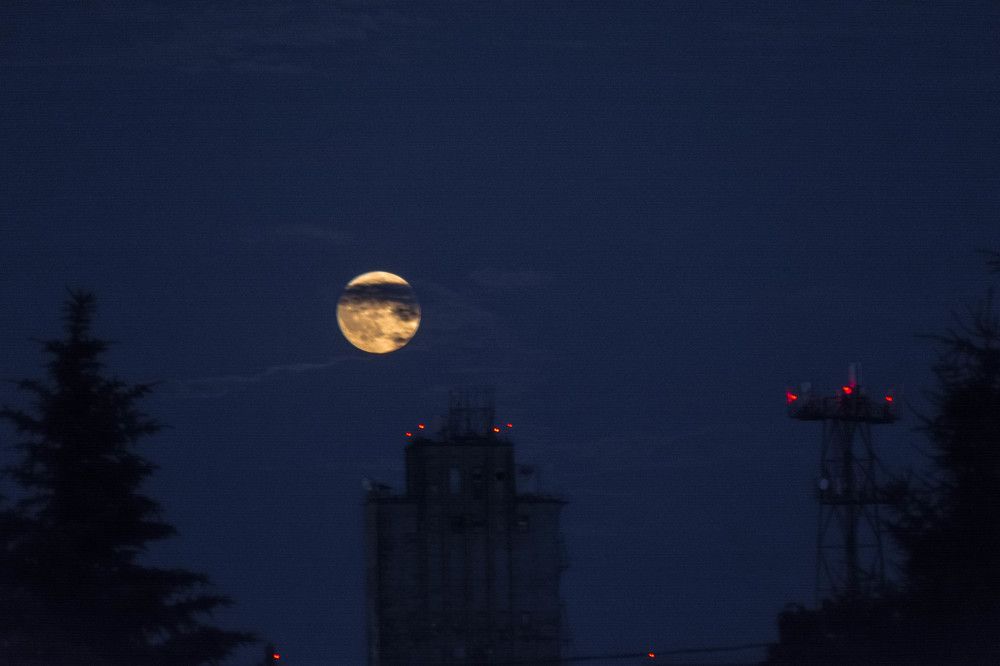 Photograph by Людмила Прибылова