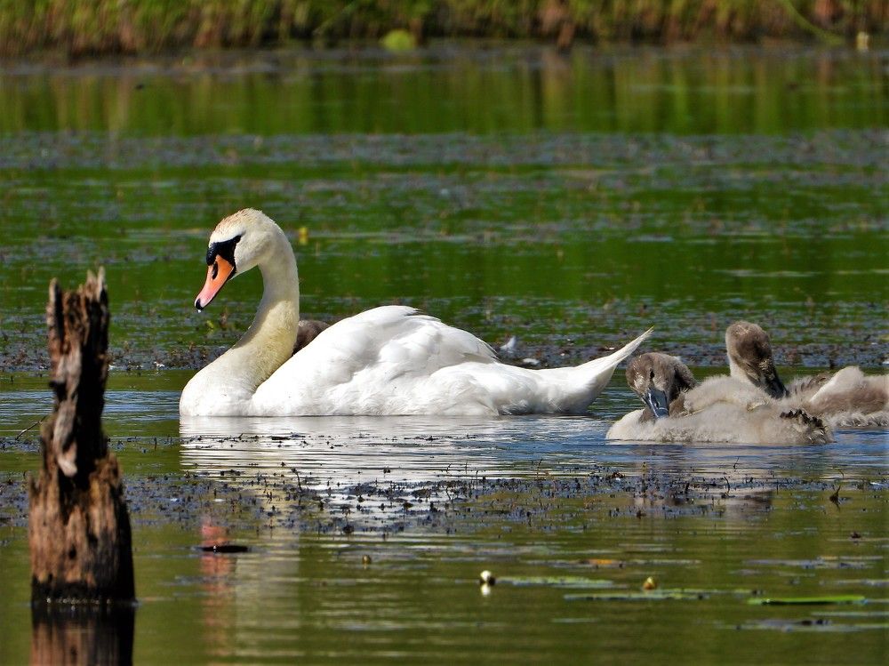 Photograph by Ольга Митрофанова