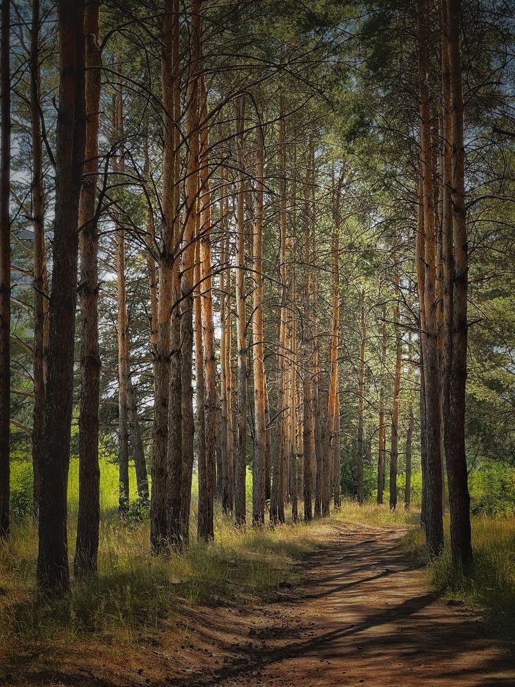 Photograph by Кира Бахвалова