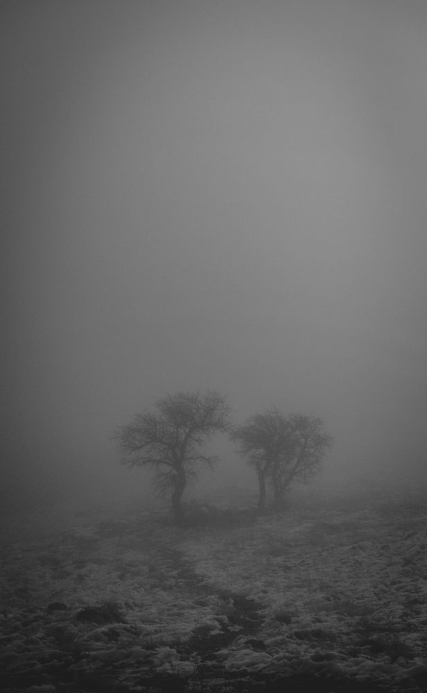 Photograph by Ehsan Fathi