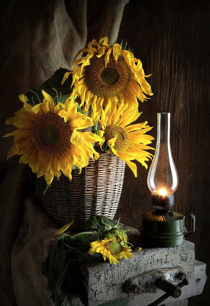 Photograph by Сергей Алексеев