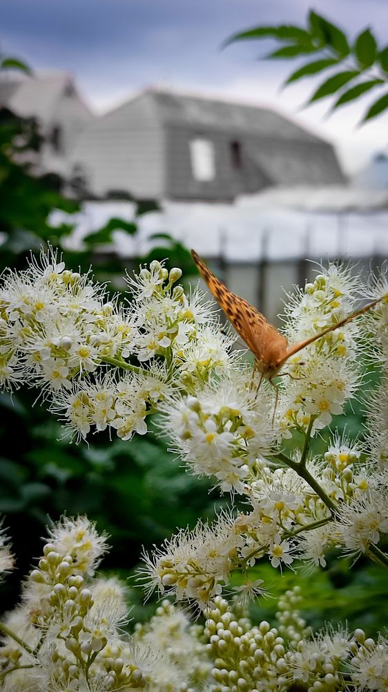 Фотография автора Ольга Неуймина