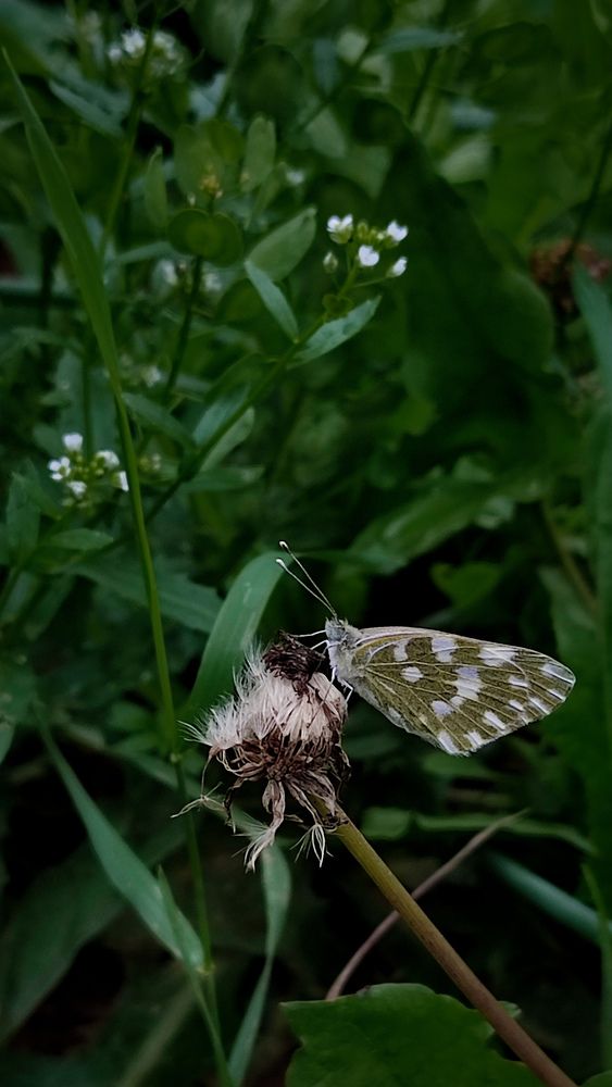 Фотография автора Ольга Неуймина