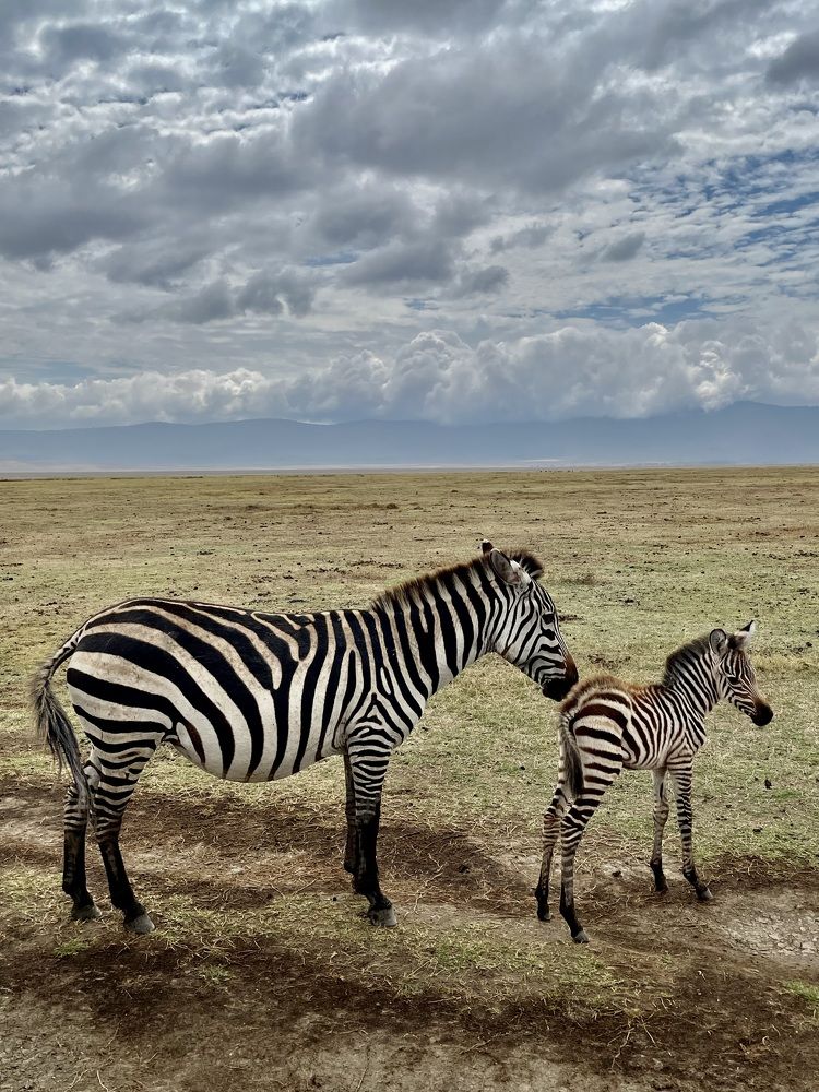 Photograph by Людмила Удальцова