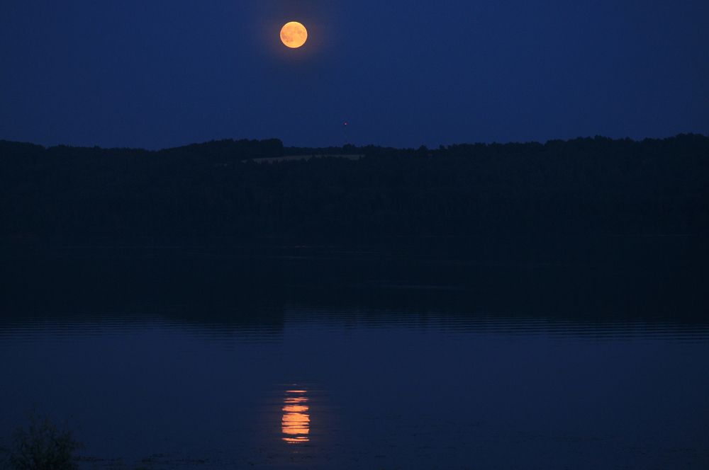 Photograph by Светлана