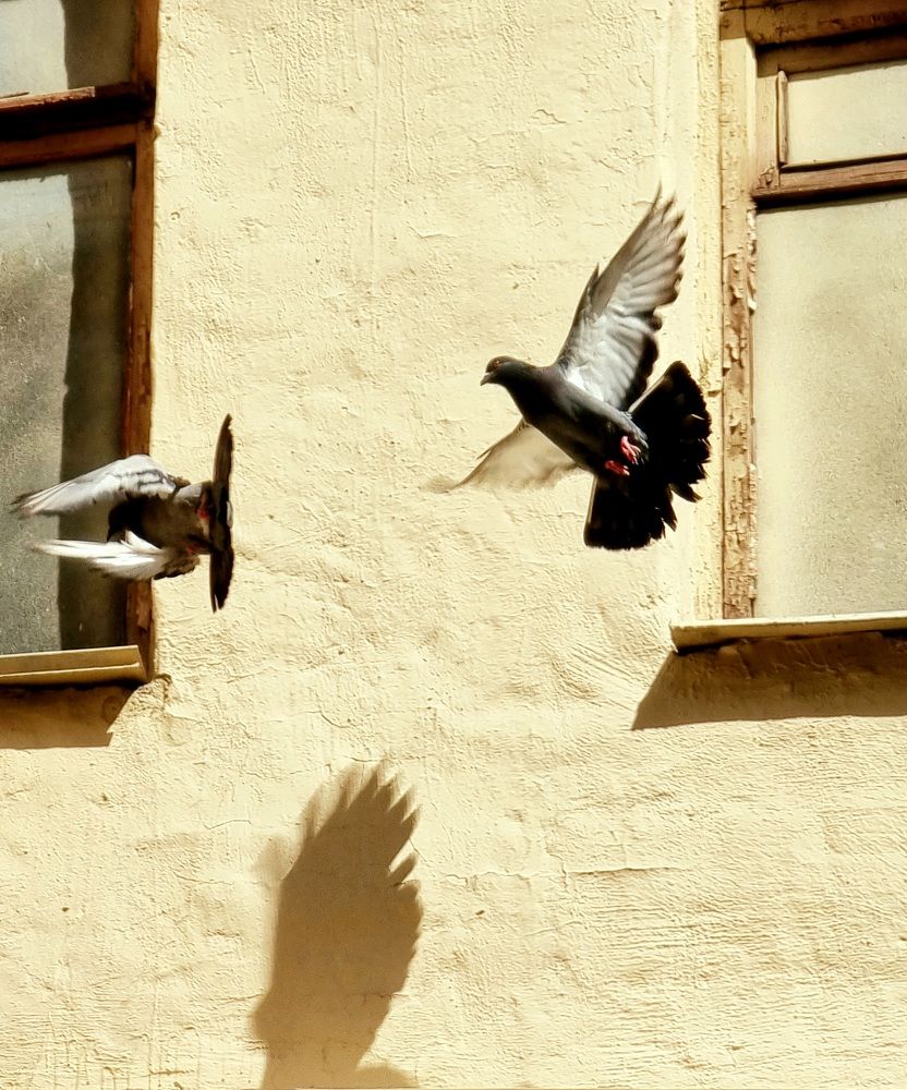 Photograph by Екатерина Воротникова