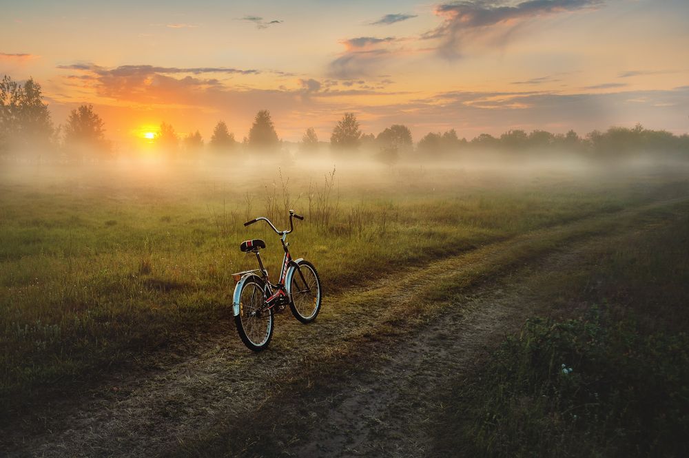 Photograph by Сивенок Елена