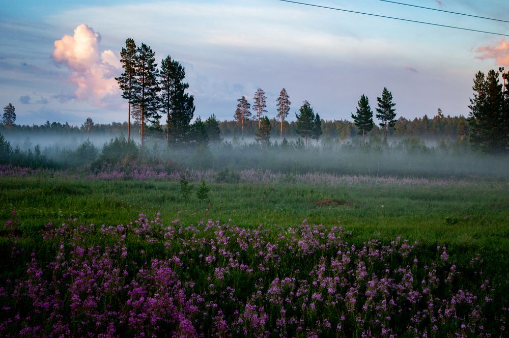 Photograph by Динара Богатырева