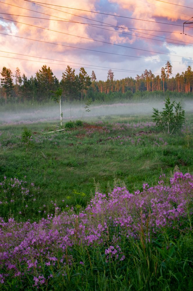 Photograph by Динара Богатырева