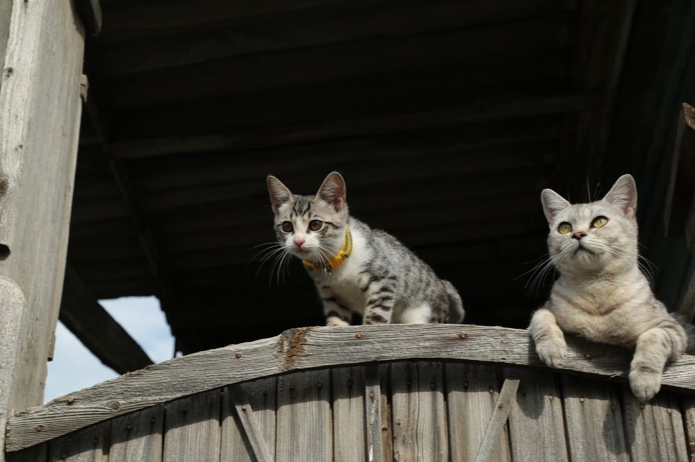 Photograph by Дарья Юсарева