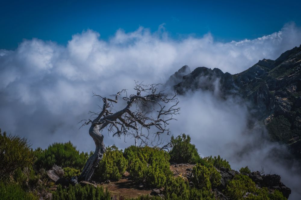 Photograph by Вовк Сергей