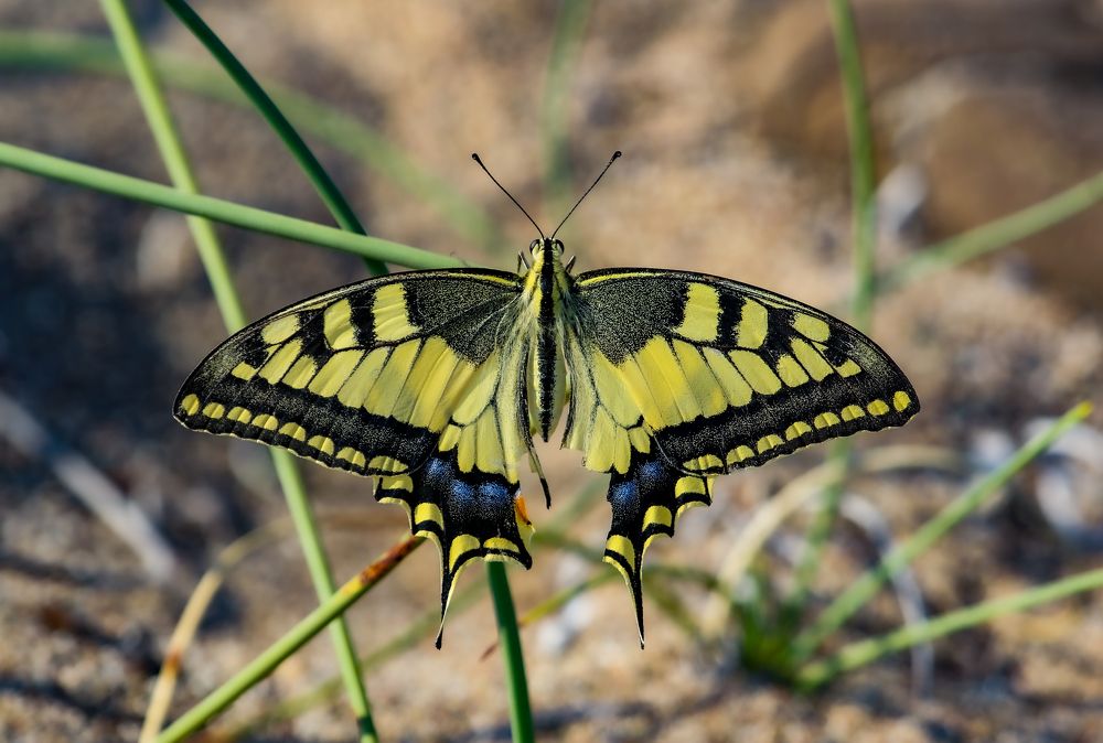 Photograph by Анна Чадова