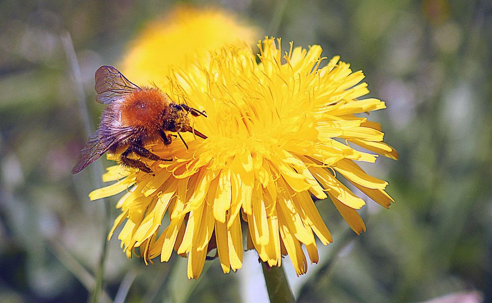 Photograph by Алексей Гнедовский