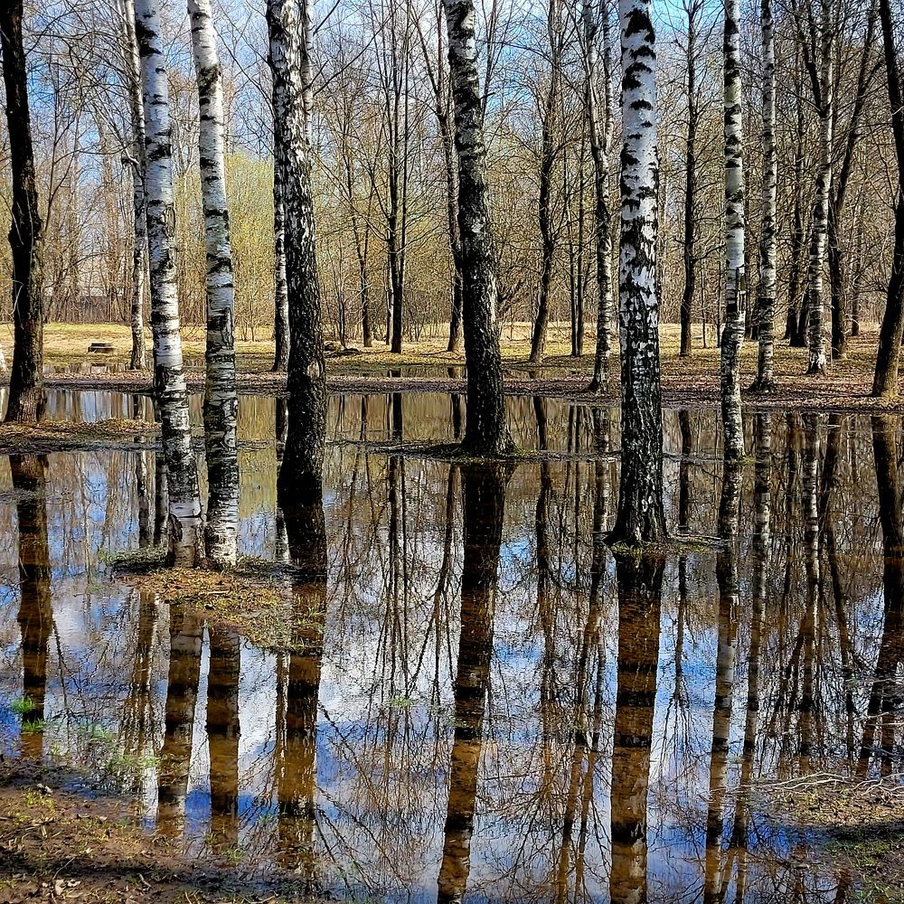 Photograph by Oksana Sabeleva