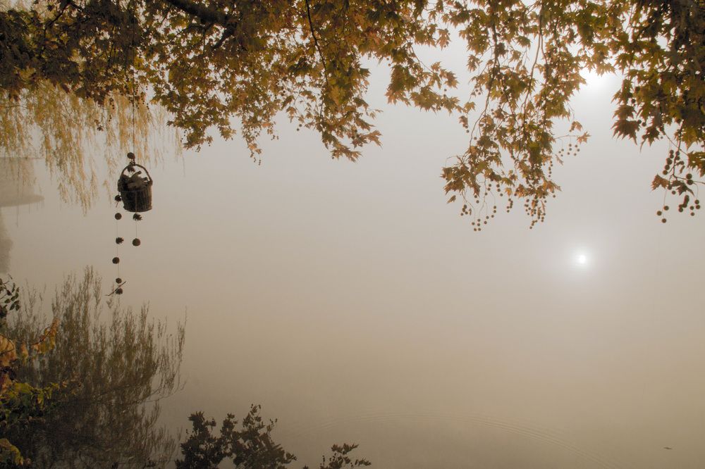 Photograph by Feride Alemdaroğlu