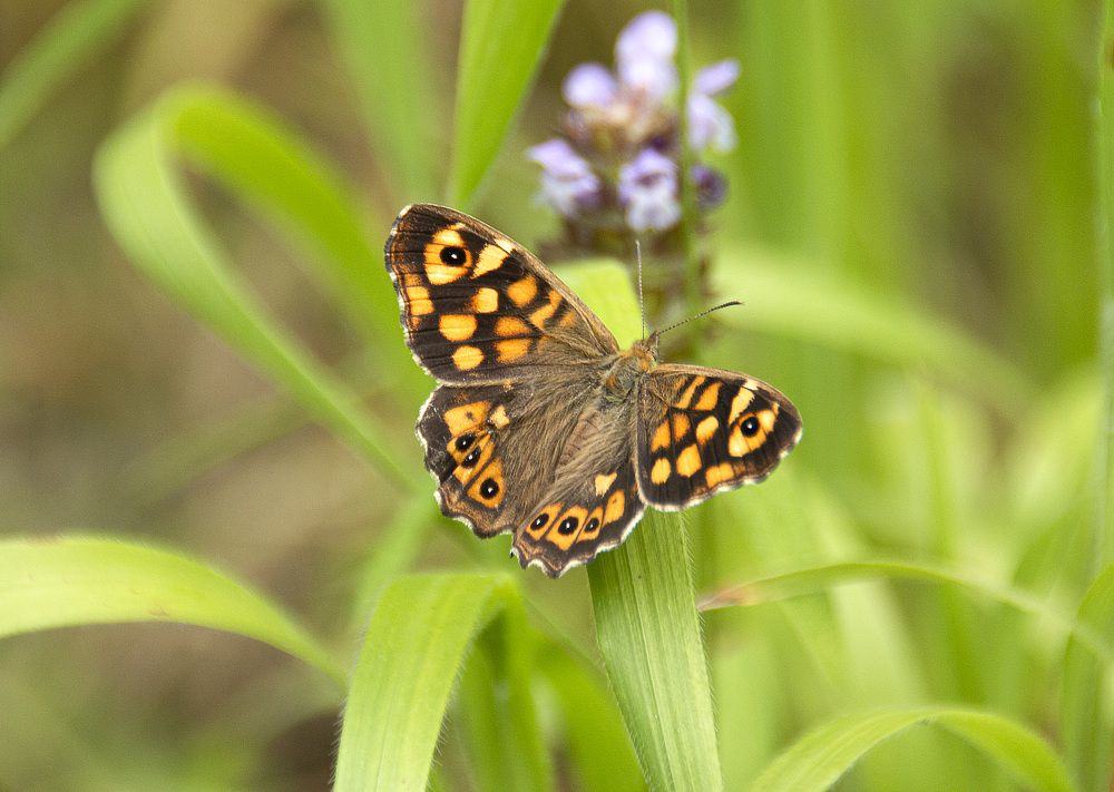 Photograph by Feride Alemdaroğlu