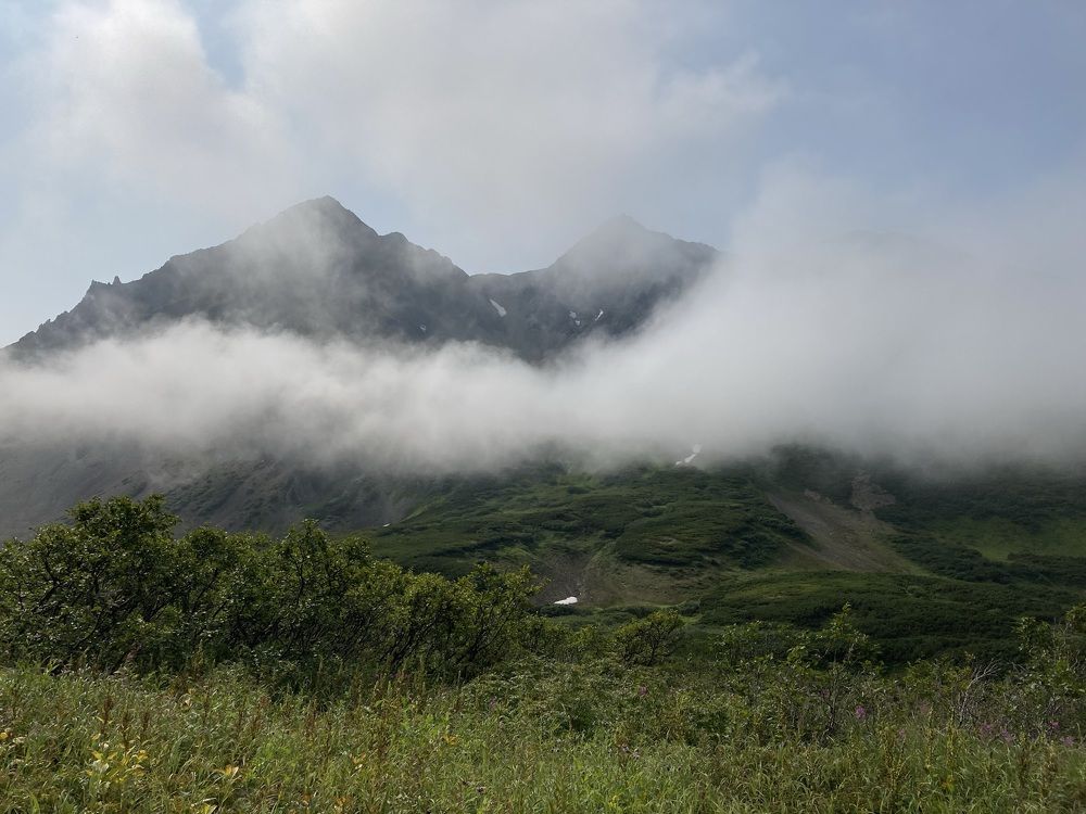 Фотография автора Анна Могилева