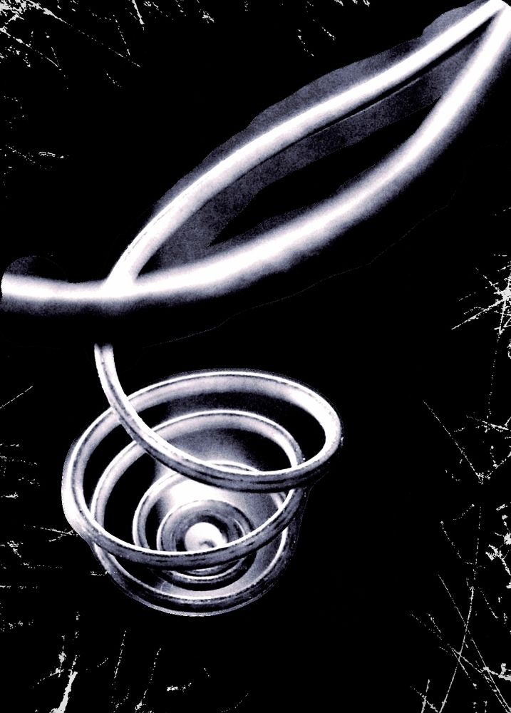 Photograph by Michelle Vaughn