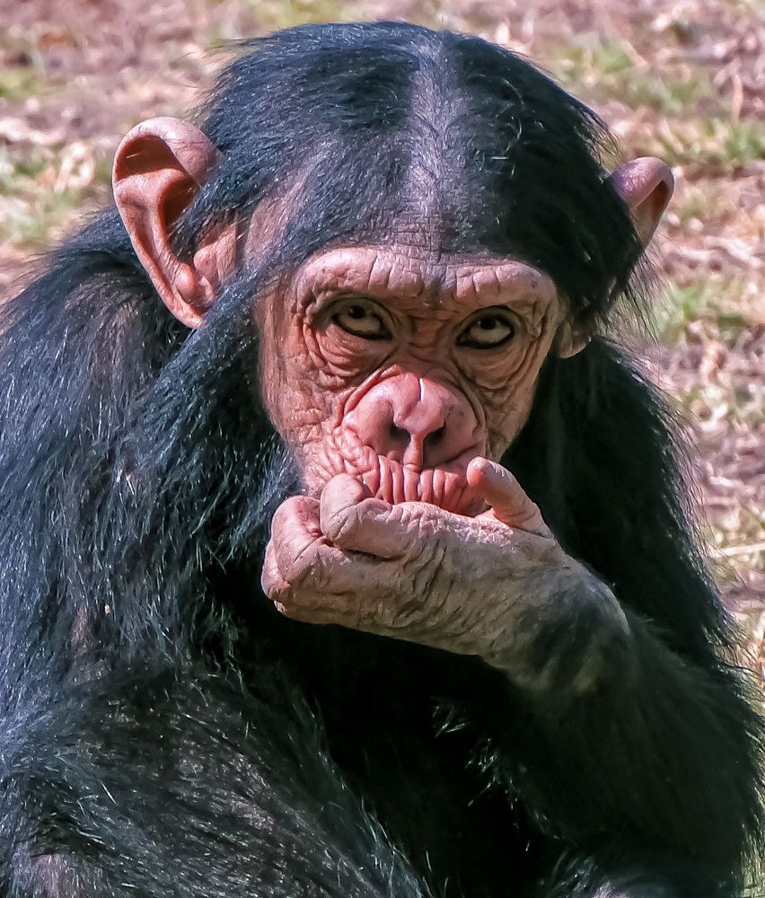 Photograph by Silvia Marcos