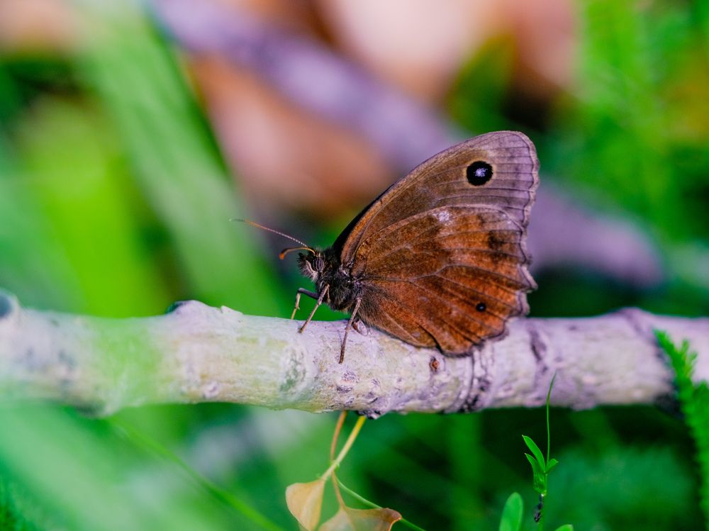 Photograph by Kostantin Belonogov