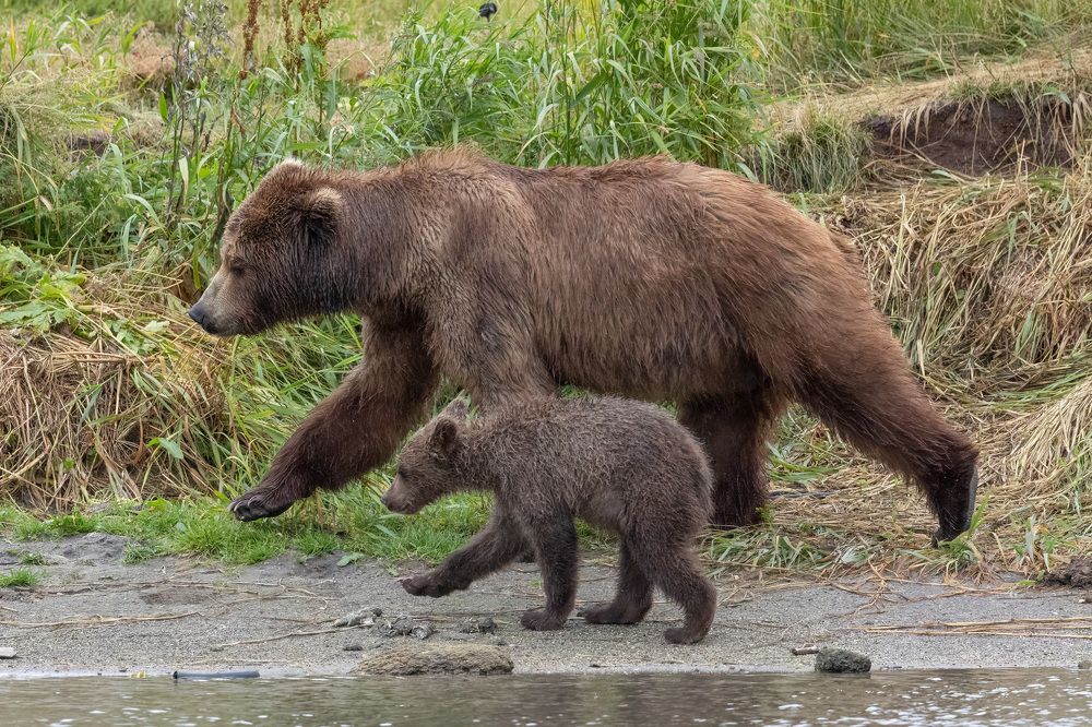 Photograph by Логунов Максим