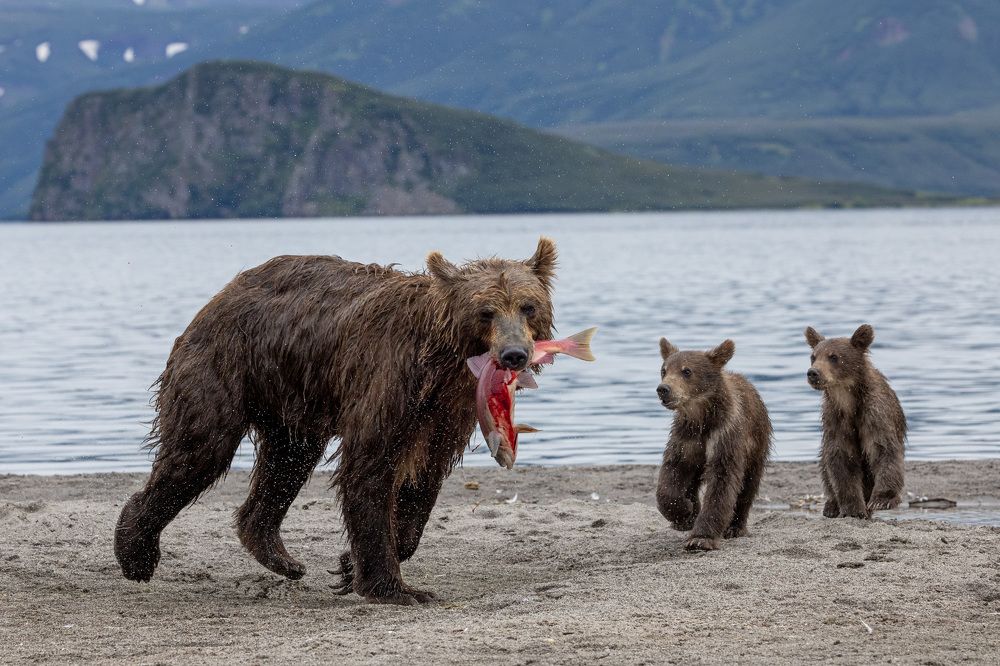 Photograph by Логунов Максим