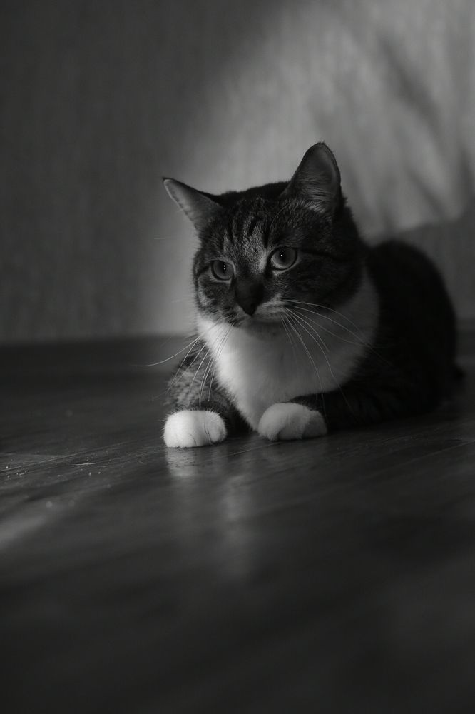 Photograph by Строганова Надежда