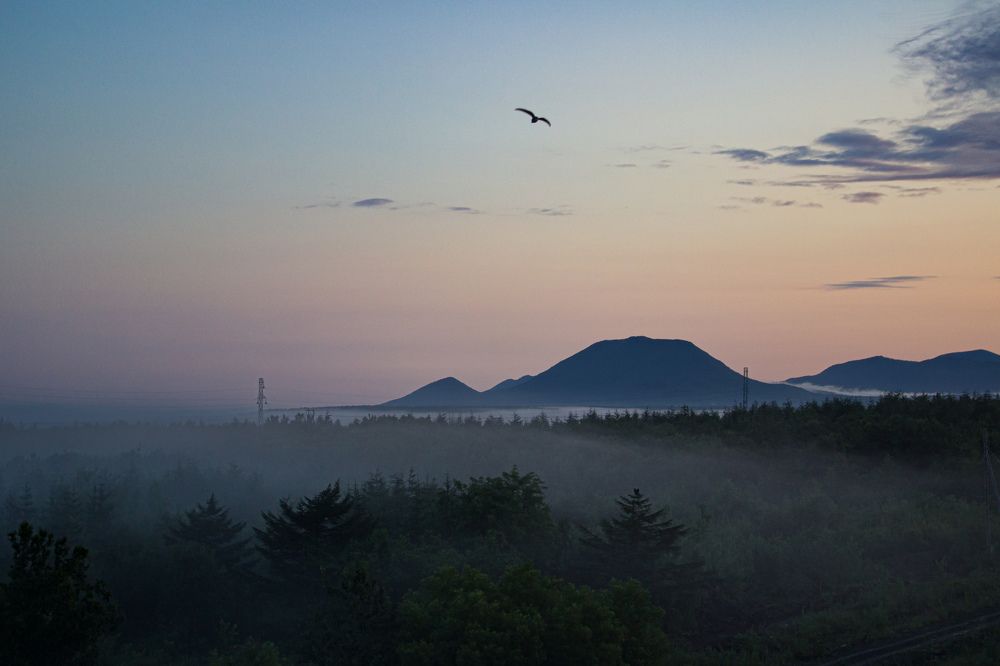 Photograph by Тамара Аржанова