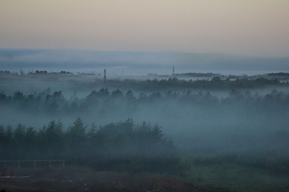 Photograph by Тамара Аржанова