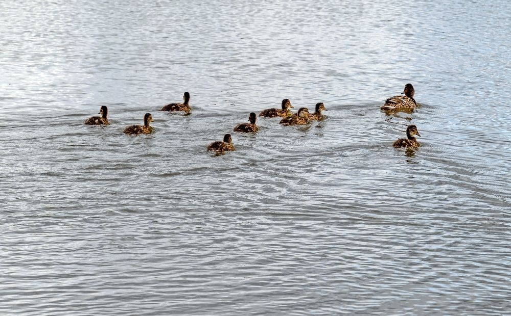 Photograph by Valery Kleymenov