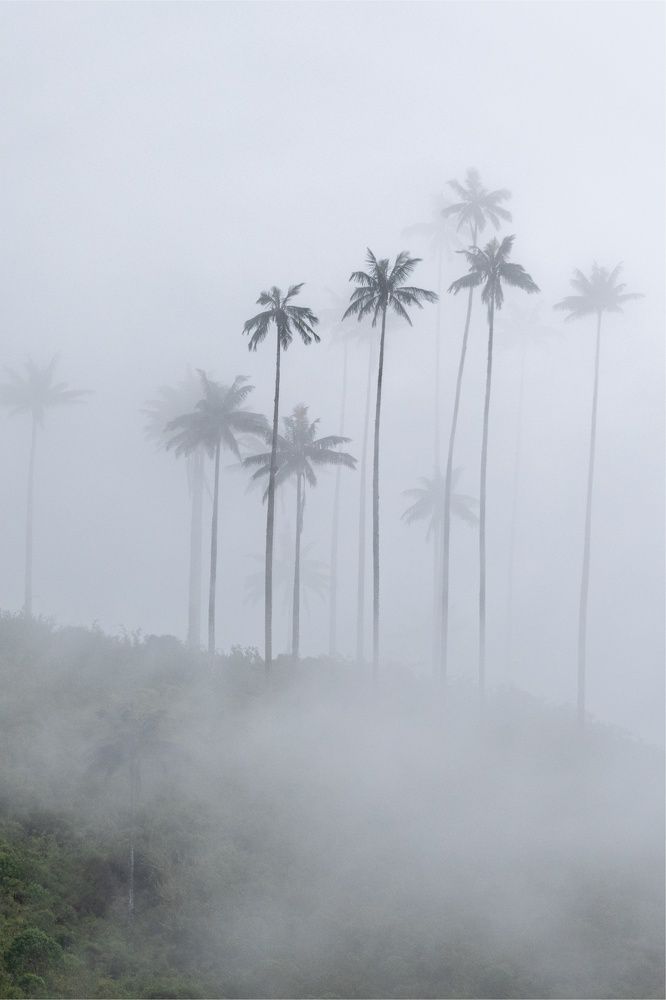 Photograph by Paulo Andrés Garcias Urueña