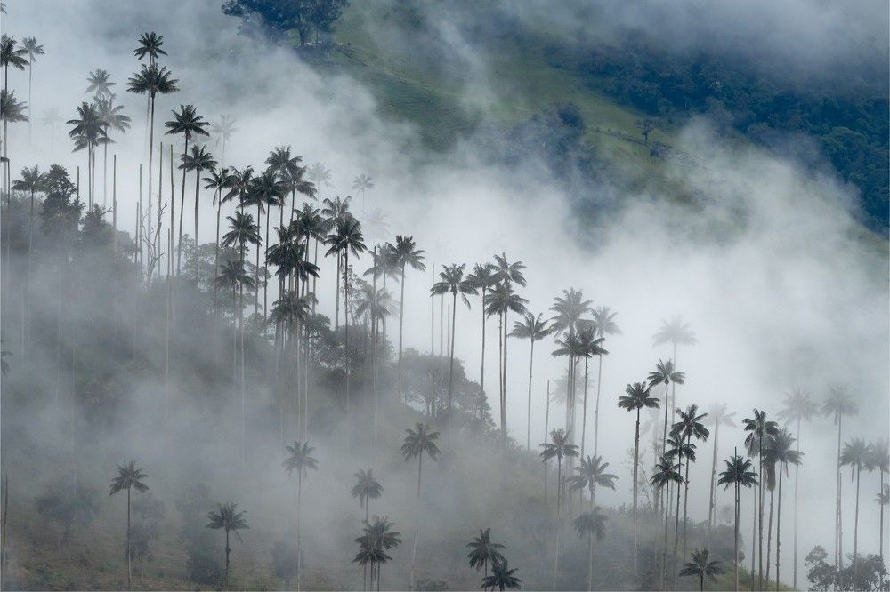 Photograph by Paulo Andrés Garcias Urueña