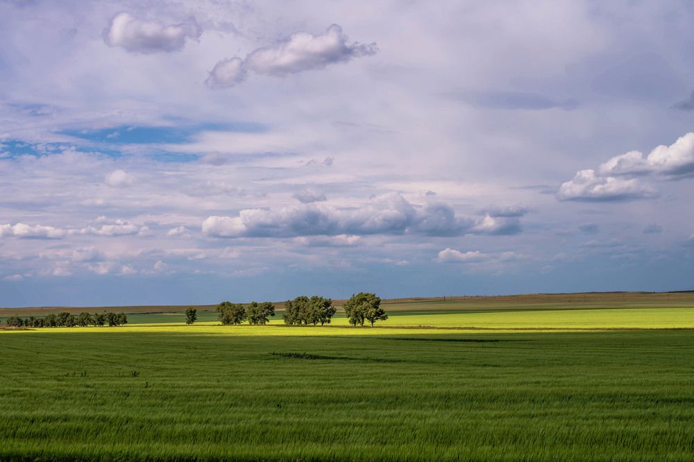 Photograph by Наталья Лещинская