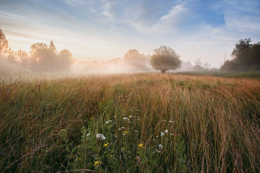 Photograph by Зеленько Дмитрий