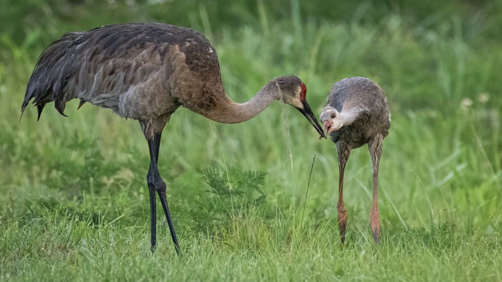 Фотография автора Erik Nelson