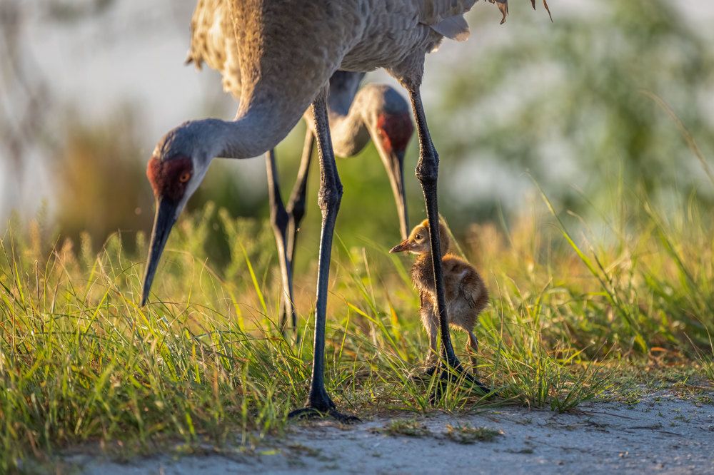 Photograph by Erik Nelson